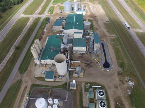 Image result for API Plant