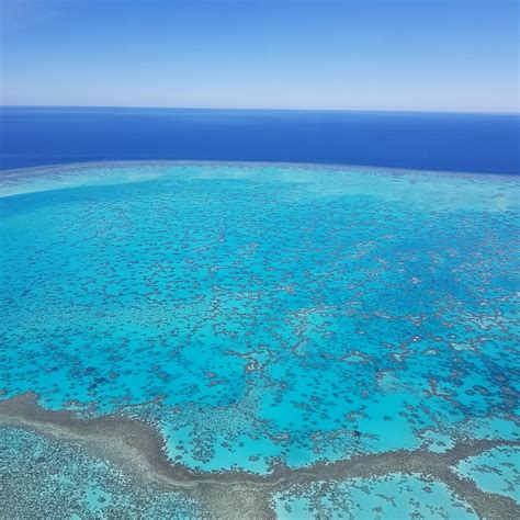 The Best Hotel Deals in Wilson Island (Feb 2026) - Tripadvisor