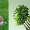 Image result for Can Rabbits Eat Biscuits