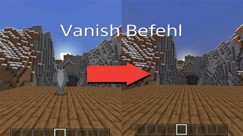 How to Vanish in Minecraft Java 的图像结果