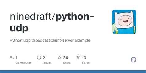 Image result for UDP Client Server Application Python