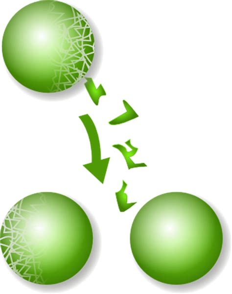 Image result for Science of Infinity