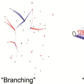 Image result for Code Dynamic Behavior