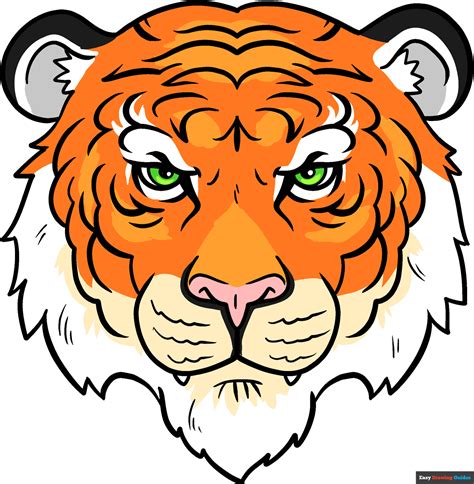 Image result for Tiger Drawing Easy