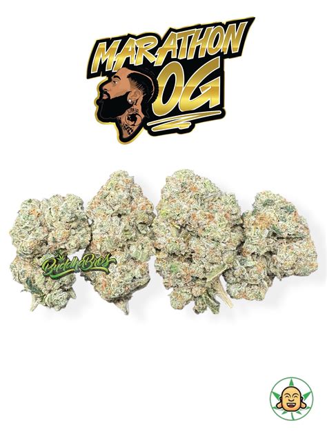 Marathon OG Indica Strain Buy Online at BuddhaBrosLA