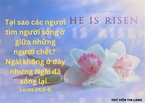 Lời Chúa Mỗi Ngày: Lu-ca 24:5-6 - Thư Viện Tin Lành