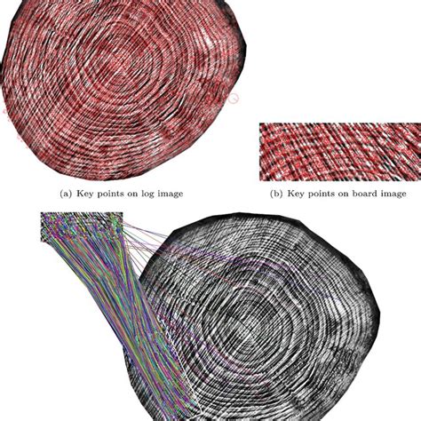 Image result for SIFT Algorithm Applications