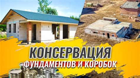 Что нужно знать о консервации? — Wikidom