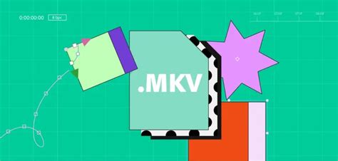 Image result for FLV File