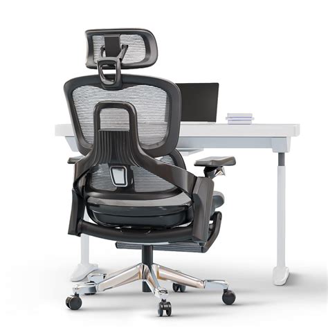 DROGO Mesh Ergo Flow Luxury Ergonomic Office Chair for Work from Home ...