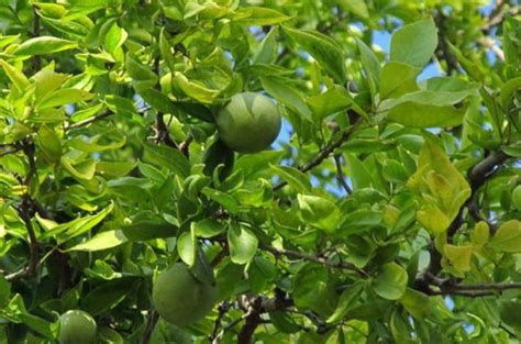 Edited By : Deepak Dilliwar Modified Date: November 29, 2022 / 08:17 PM ...