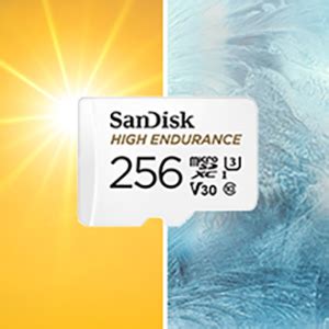 SanDisk 256GB High Endurance Video microSDXC Card with Adapter for Dash ...