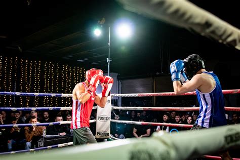 Boxing Guard 的图像结果