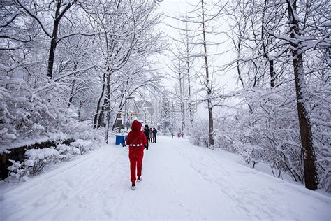 雪轨道-冬季风景桌面壁纸-2560x1600下载 | 10wallpaper.com