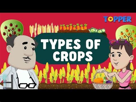 Agriculture -distribution of crops Video Lecture - Social Studies for ...