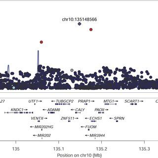 Image result for Locus Control Region Gene Expression