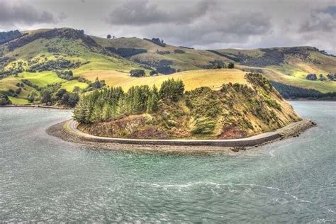 9 Best Places To Visit In Dunedin For An Adventurous Trip