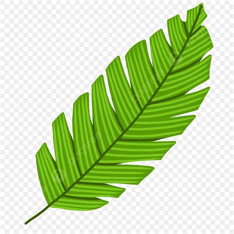Palm Branches Clip Art