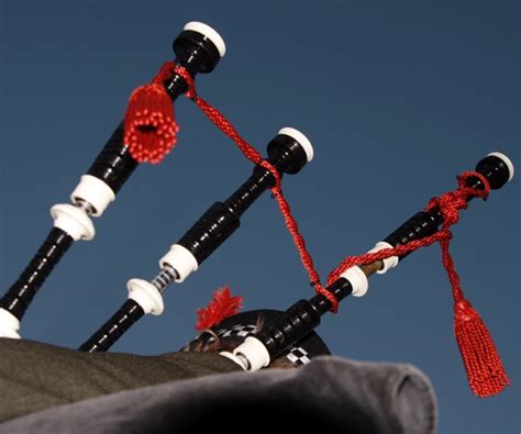 Bagpipe Lung Death: Breathing In Mold, Fungi Kills English Piper ...