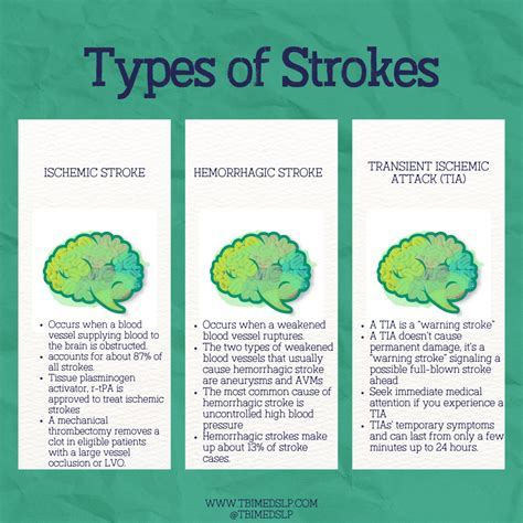 Understanding the Different Types of Stroke — TBI MedSLP