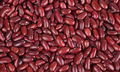 Beans while pregnant? The risks of Beans during pregnancy. - can pregnant women eat kidney beans