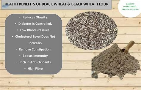 BANDHAL- Organic Black Wheat For Eating & Cooking 900 gm. Kala Gehu An ...