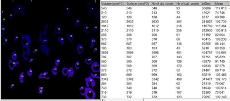 FlowJo Mean Fluorescence Intensity Table 的图像结果