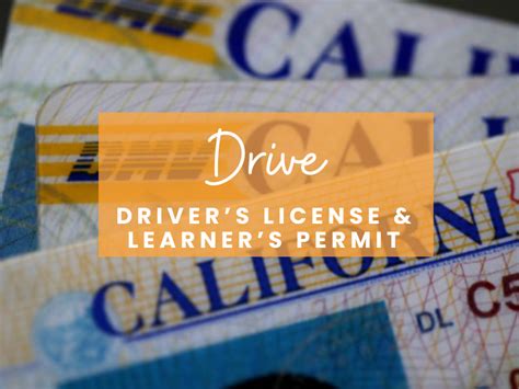 Getting My Drivers License 的图像结果