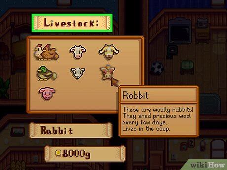 Dwarf Gadget in Stardew Valley: What It Is & Where to Get It