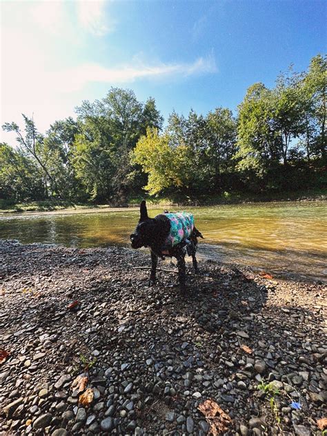 Gallery | riley-elizabeth15 | VSCO