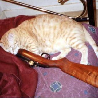 Amazon.in: Buy Rashomon [The Criterion Collection, Special Edition] DVD ...