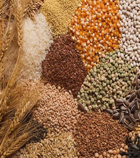 C P Patel-Best Bhakri Flour Suppliers,Best Dhaniya Powder,Best Rava ...