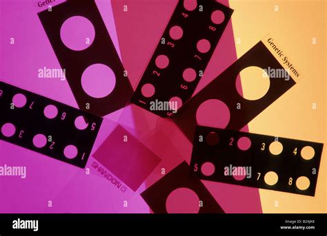 Color Code Microscope Slides 的图像结果