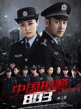 中国刑警803英雄本色第3集分集剧情_电视剧_电视猫