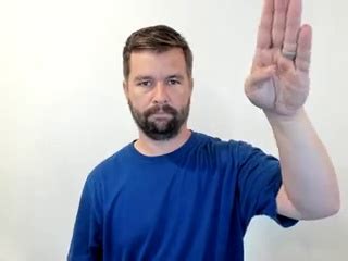 Image result for Sign Language Hello
