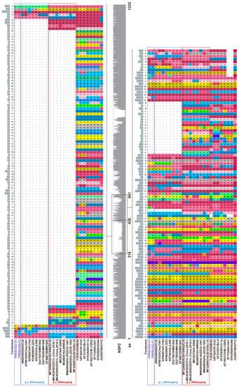 Characterization and Pathogenicity of Two Novel PRRSVs Recombined by ...