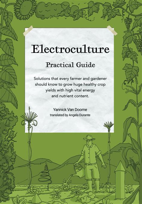 Buy Electroculture Growing Practical Guide: A Practical Guide to ...