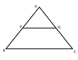 In triangle ABC PQ parallel to BC and PQ:BC =1:3. Find the ratio of AP ...