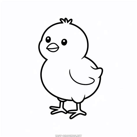 Chick picture Easy Drawing | Easy Drawings