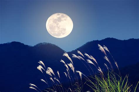 海中观月、山顶望月 途牛热推中秋赏月新“姿势”
