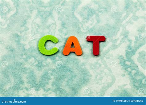 Image result for Learning to Spell Cat
