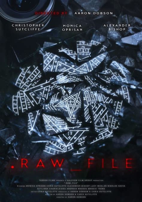 Image result for Raw File Extractor