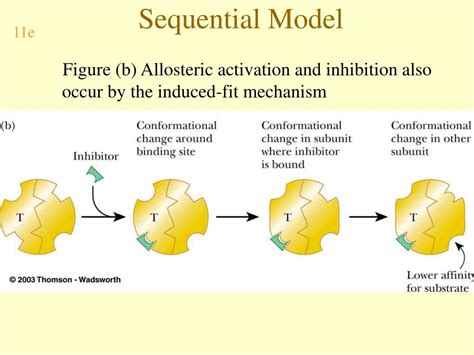 Beaconhouse Neurosequential Model 的图像结果