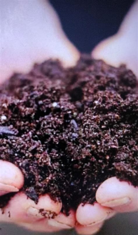 How do the soil become too acidic in nature?Give the answer as soon as ...