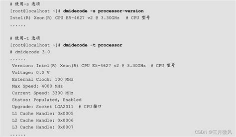 linux 查看进程命令_3.查看当前进程的状态并理解各列信息含义-CSDN博客