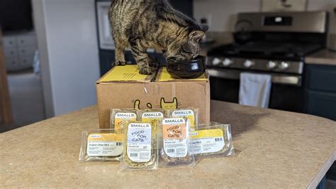 10 Best Cat Foods Made in the USA in 2025 - Reviews & Top Picks - Catster