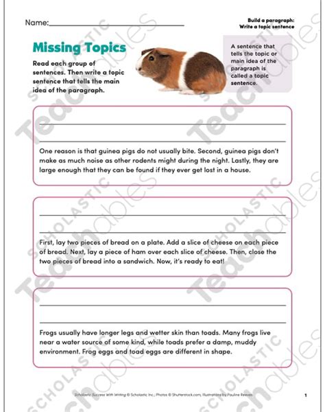 Image result for Topic Sentence Videos