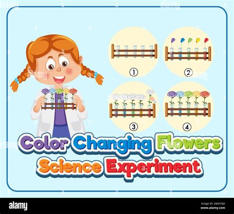 Image result for Color Changing Experiment