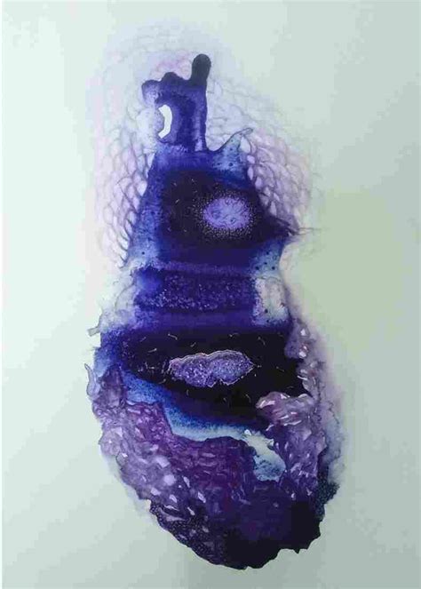 Conception ( Vol 1 ) – Crafttatva.com
