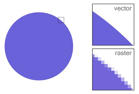 Vector Raster 的图像结果